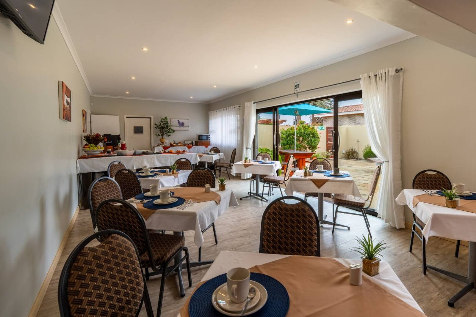 Deser Jackal GH_2026 (29)