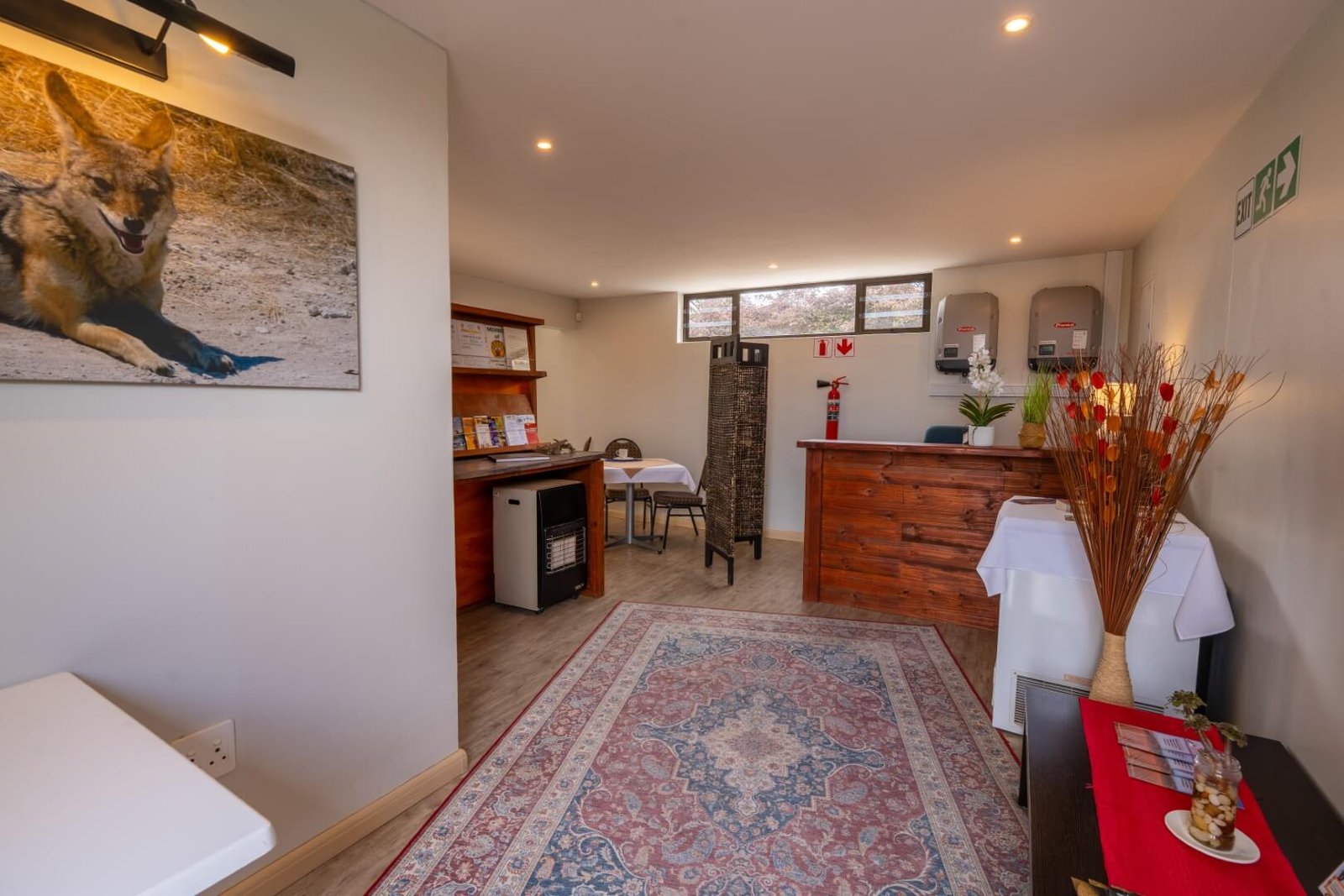 Deser Jackal GH_2026 (34)