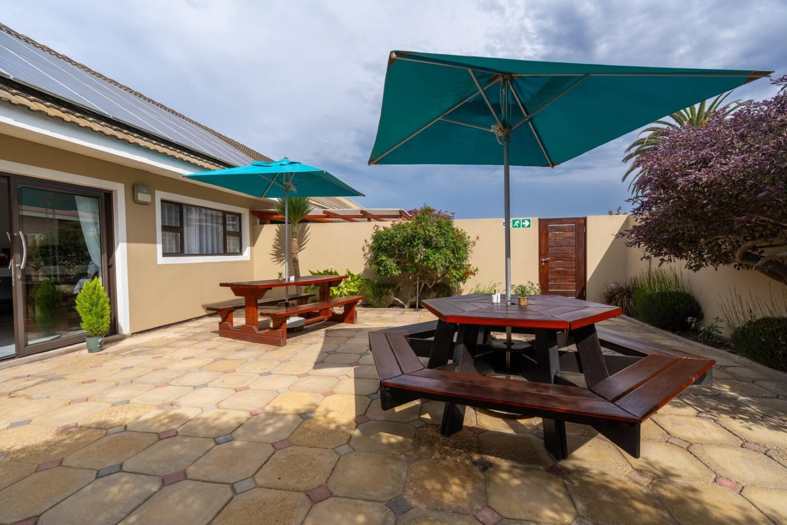 Deser Jackal GH_2026 (38)